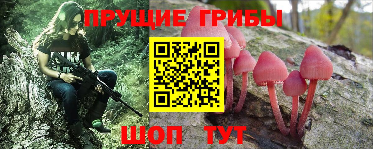 Рязань  Галлюциногенные грибы прущие грибы  Вход с VPN 