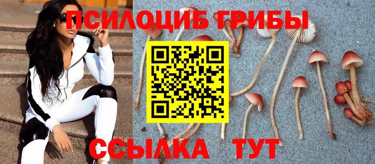 Галлюциногенные грибы ЛСД Рязань